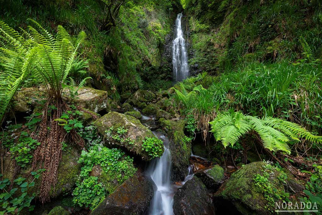 Cascada de Belaustegi en el parque natural del Gorbea