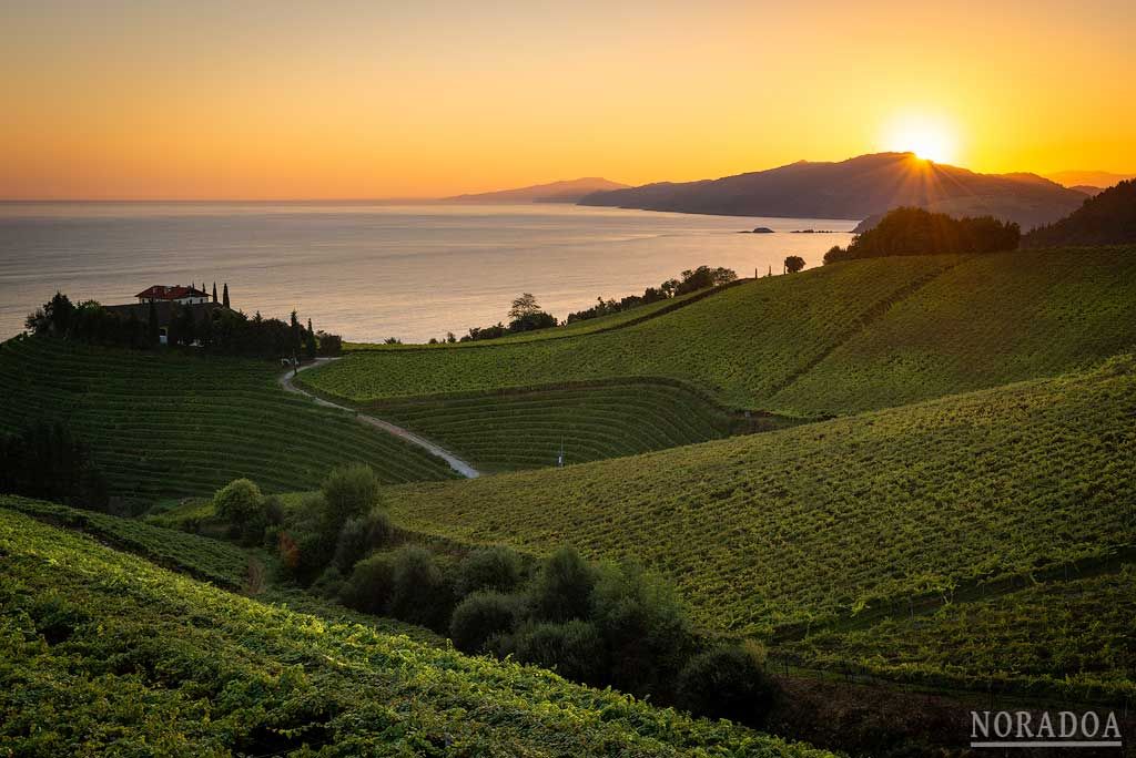 Amanece en Getaria con sus viñedos de Txakoli en primer plano