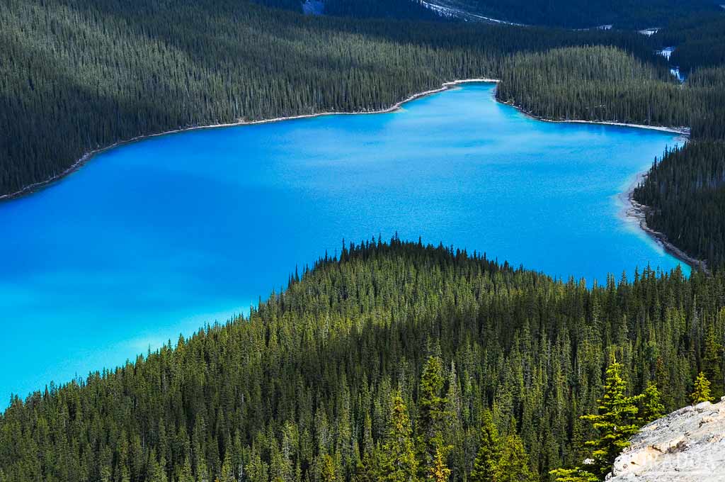 Lago Peyto en el Parque Nacional de Banff, Canada