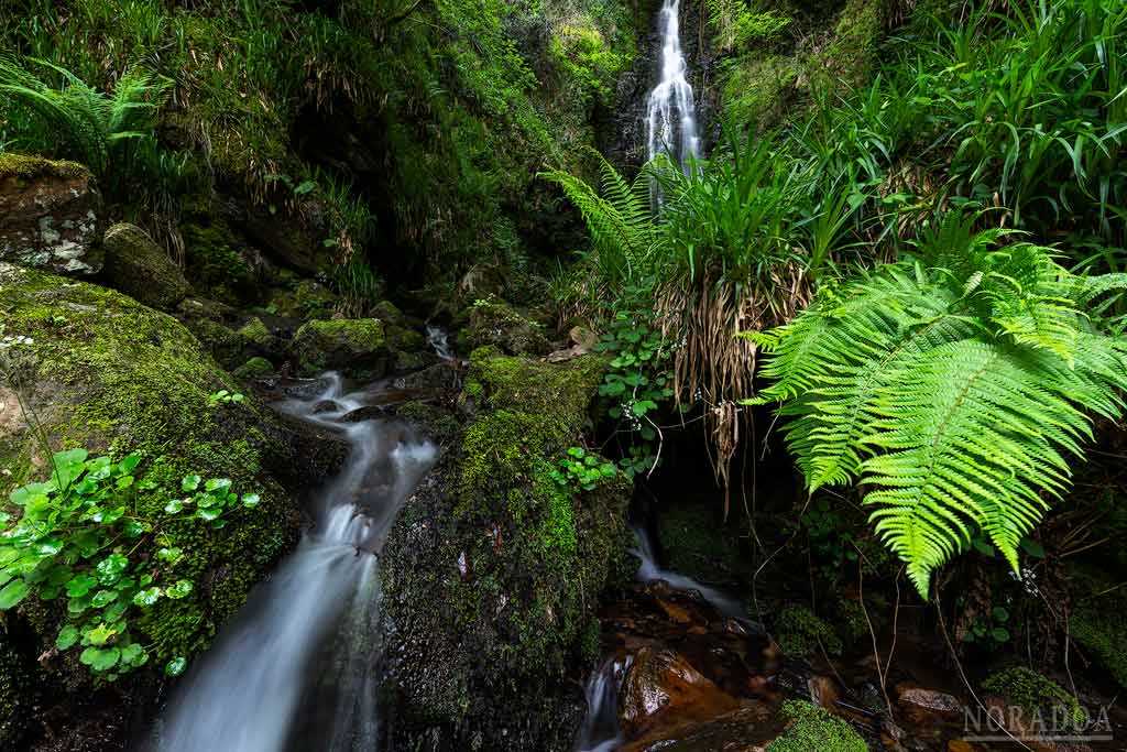 Cascada de Belaustegi, dentro del parque natural del Gorbea