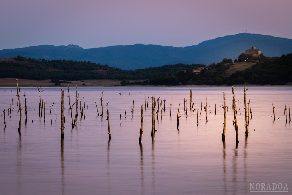 Bosque Sumergido del embalse de Ullíbarri-Gamboa