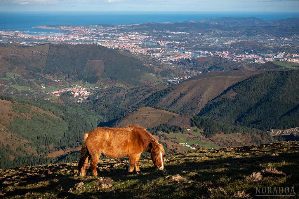 Vistas desde el monte Ganekogorta